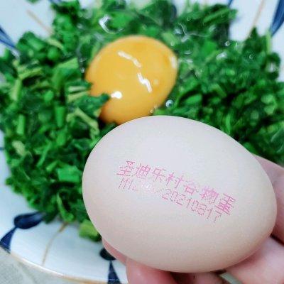 香椿炒鸡蛋怎么炒，香椿怎么做好吃（#巨下饭的家常菜#如何在一年四季吃上鲜香美味的香椿炒鸡蛋）