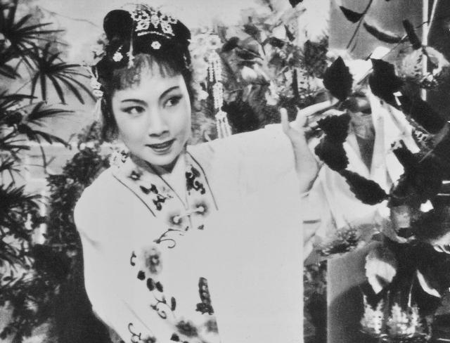 经典潮剧100部，潮剧苏六娘（潮剧将迎来新的“黄金十年”）