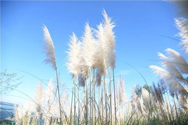 红河旅游景点大全，红河州有哪些旅游景点（中秋红河三日游）