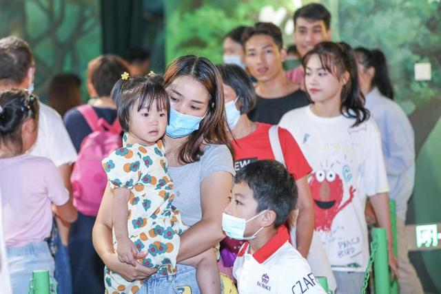 广州海底世界在哪里急，广州的海底公园在哪里（大湾区滨海度假再添新名片）