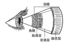 这几种常见的“眼疾”！，眼部疾病有哪些?症状是什么（都是因这个很多人都有的眼病而起）