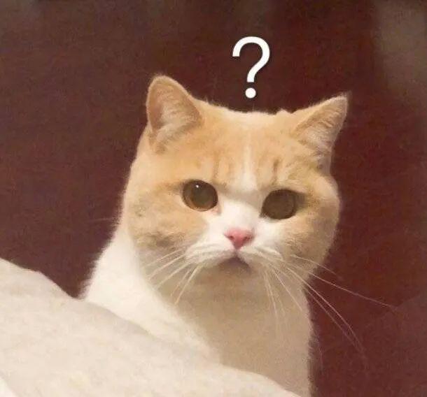 可爱的用英语怎么说，可爱用英语怎么说（“冬日可爱”居然是成语）