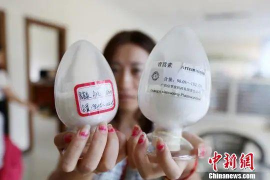 青蒿素是什么，青蒿素是什么情况下开始研究的（从三千万例到零感染）