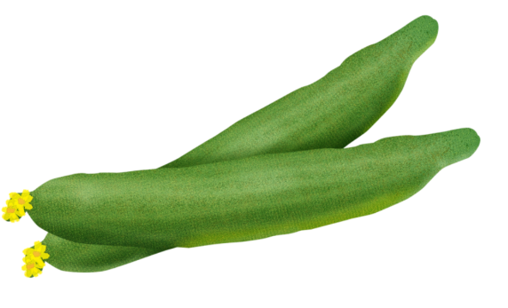 绿南瓜的功效与作用，女人千万不要吃南瓜（5种瓜营养成分“顶呱呱”）