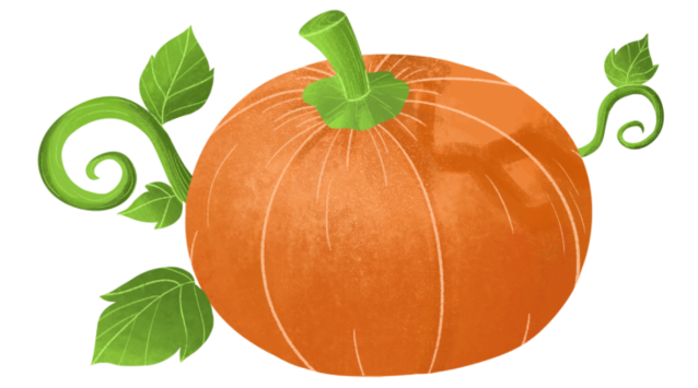 绿南瓜的功效与作用，女人千万不要吃南瓜（5种瓜营养成分“顶呱呱”）