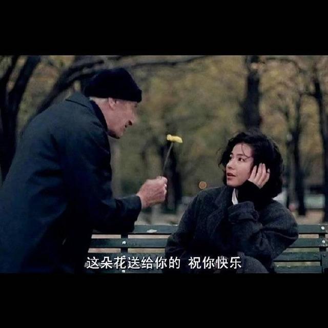 爱莎玫瑰花花语，跟小编来枣庄这个地儿一探究竟