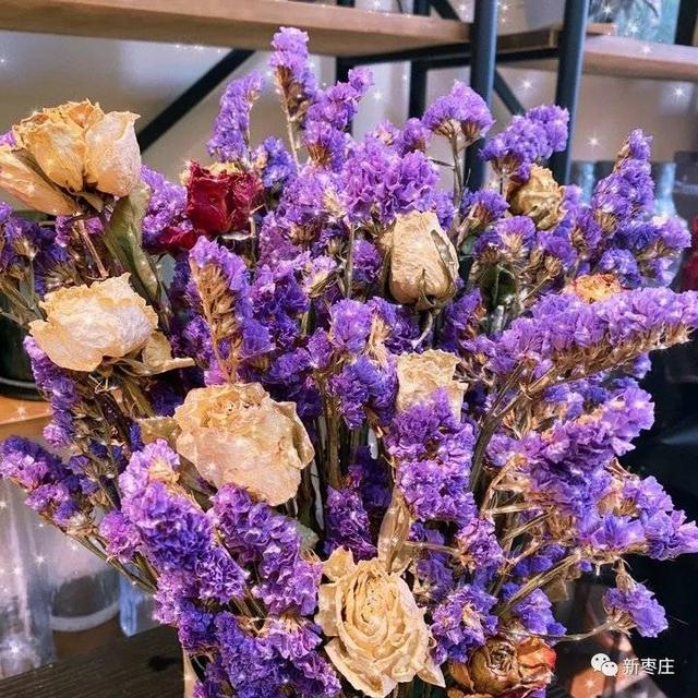 爱莎玫瑰花花语，跟小编来枣庄这个地儿一探究竟