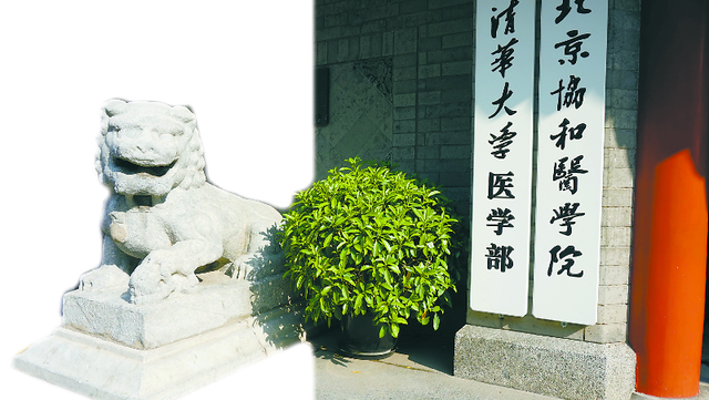 懒洋洋地什么，当年门前石狮子为啥懒洋洋地趴着