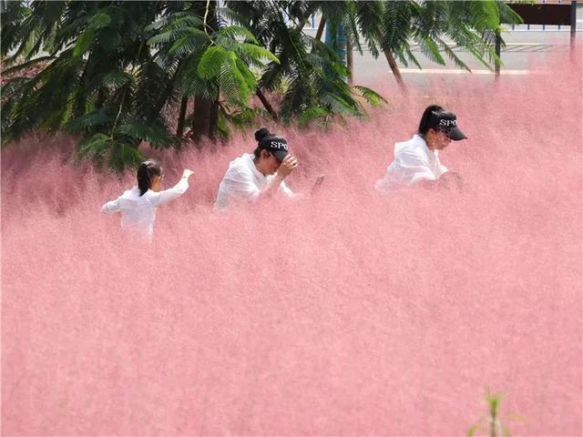 红河旅游景点大全，红河州有哪些旅游景点（中秋红河三日游）