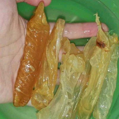 花胶和什么煲汤最适合，花胶炖什么最好和滋补（有了这些花胶排骨汤，实力下酒）