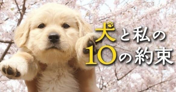 日本经典电影推荐，电影 日本 推荐（网友票选最好哭的日本电影TOP）