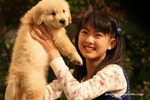 日本经典电影推荐，电影 日本 推荐（网友票选最好哭的日本电影TOP）