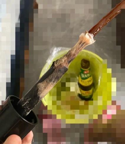 生蚝放冷藏还是冷冻，《开壳的生蚝应该放在冷藏还是冷冻》