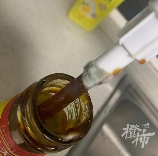 生蚝放冷藏还是冷冻，《开壳的生蚝应该放在冷藏还是冷冻》