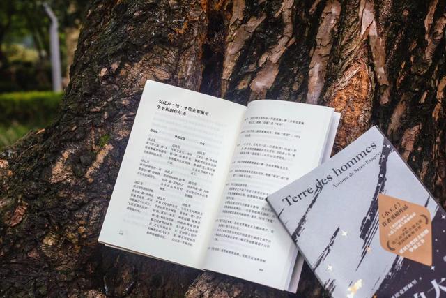 圣埃克絮佩里简介，孤独的圣埃克苏佩里（黄荭：圣埃克絮佩里笔下的大地）