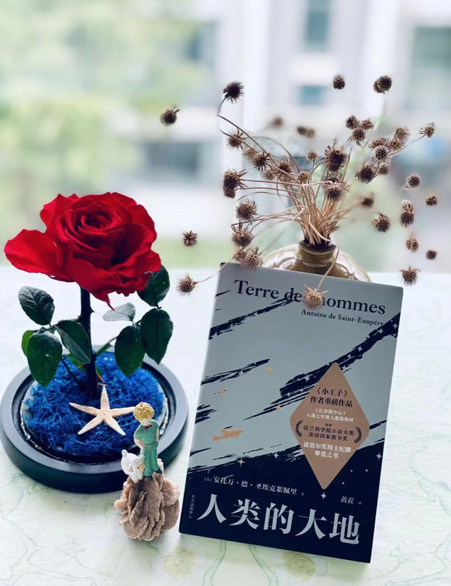 圣埃克絮佩里简介，孤独的圣埃克苏佩里（黄荭：圣埃克絮佩里笔下的大地）