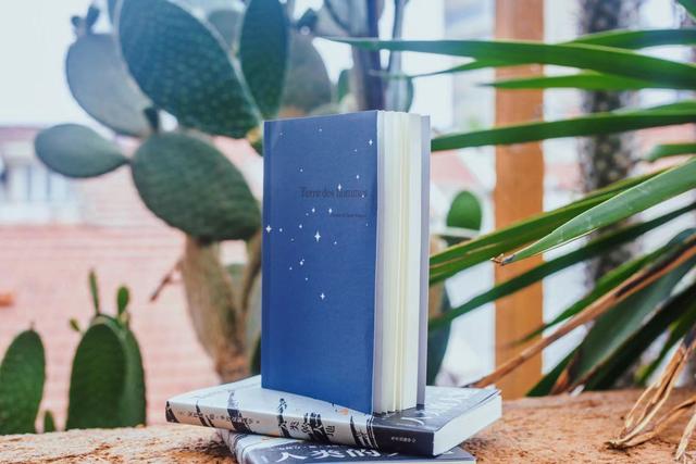 圣埃克絮佩里简介，孤独的圣埃克苏佩里（黄荭：圣埃克絮佩里笔下的大地）