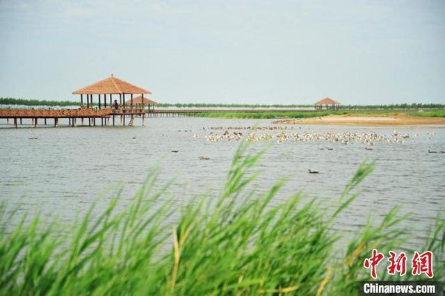 我国淡水资源在全球水资源占比，我国淡水资源在全球淡水资源占比百分之多少（我国以占全球6%的淡水资源保障了全球20%的人口用水）