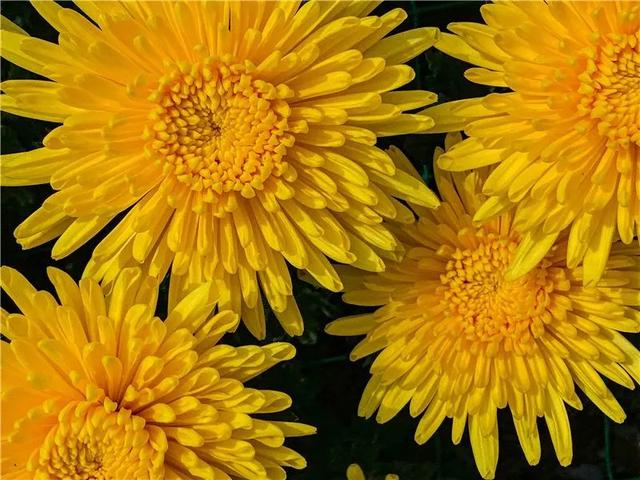 红河旅游景点大全，红河州有哪些旅游景点（中秋红河三日游）