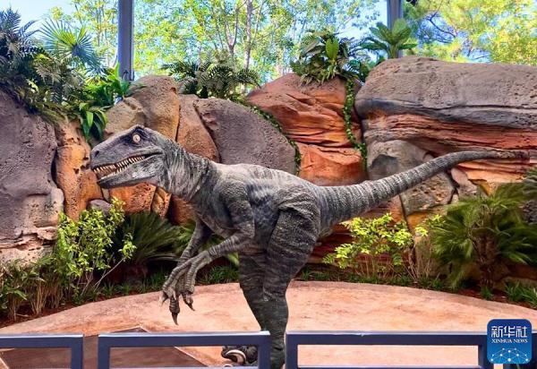 240是多少码的鞋子女，女士鞋240是多大码（北京环球度假区N问N答）