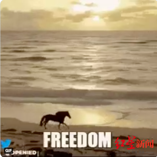 东非大草原在哪个国家，非洲大草原在非洲哪个国家（它们把这儿当东非大草原了）