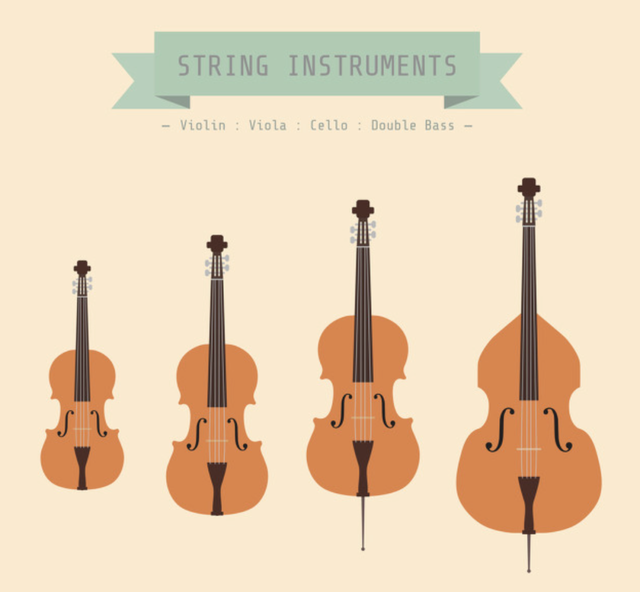 西洋乐器有哪些图片及名称，西洋乐器的种类（零基础学什么乐器好）