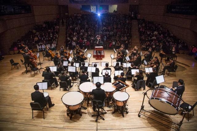 西洋乐器有哪些图片及名称，西洋乐器的种类（零基础学什么乐器好）