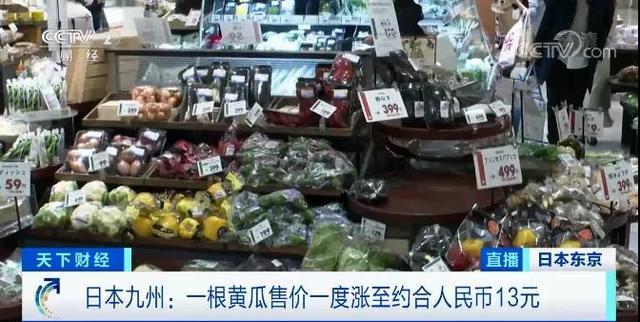 花菜的主产地，花菜主要产地（强降雨致日本菜价猛涨）