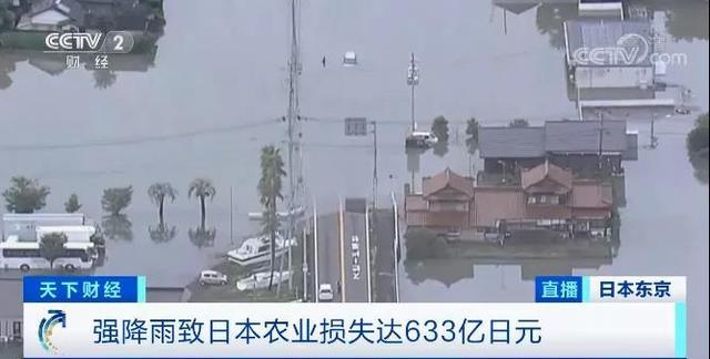 花菜的主产地，花菜主要产地（强降雨致日本菜价猛涨）