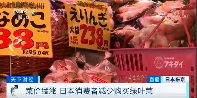 花菜的主产地，花菜主要产地（强降雨致日本菜价猛涨）