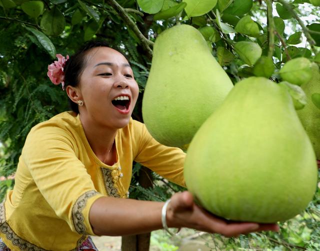 柚子产地在我国哪里，中国最好吃的柚子排名（云南景洪：沧江两岸柚香甜）