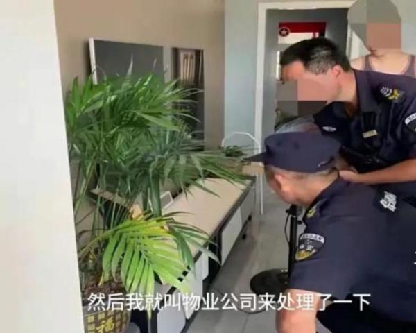 孕妇梦见杀蛇是什么意思，孕妇梦见杀蛇是什么意思周公解梦（男子用石头“打死”眼镜蛇）