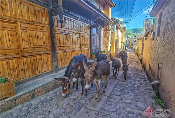 小河淌水是云南哪个地方的民歌，小河淌水属于云南哪个地方的民歌（跟着音乐游云南丨《小河淌水》的故乡）