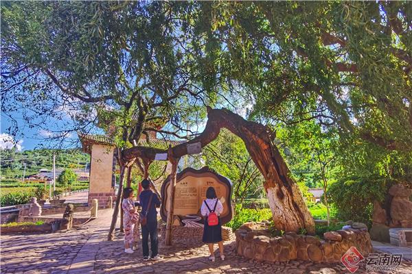 小河淌水是云南哪个地方的民歌，小河淌水属于云南哪个地方的民歌（跟着音乐游云南丨《小河淌水》的故乡）