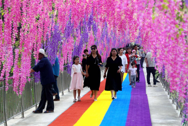 徽县属于哪个市，陕西徽县属于哪个市（《那山那水我代言》——走进徽县）