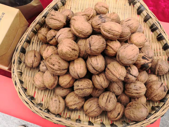 徽县属于哪个市，陕西徽县属于哪个市（《那山那水我代言》——走进徽县）