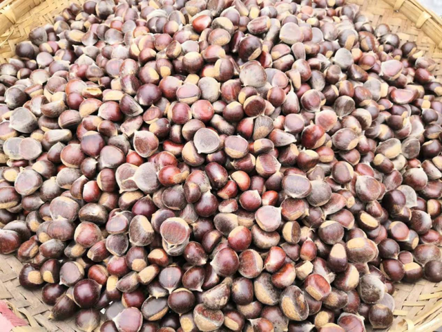 徽县属于哪个市，陕西徽县属于哪个市（《那山那水我代言》——走进徽县）