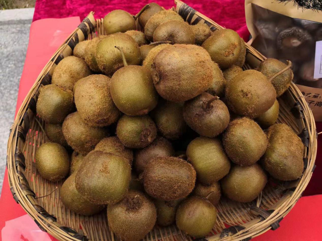 徽县属于哪个市，陕西徽县属于哪个市（《那山那水我代言》——走进徽县）