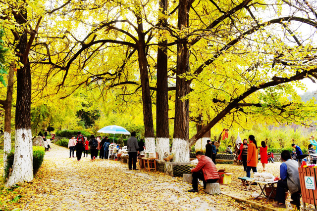 徽县属于哪个市，陕西徽县属于哪个市（《那山那水我代言》——走进徽县）