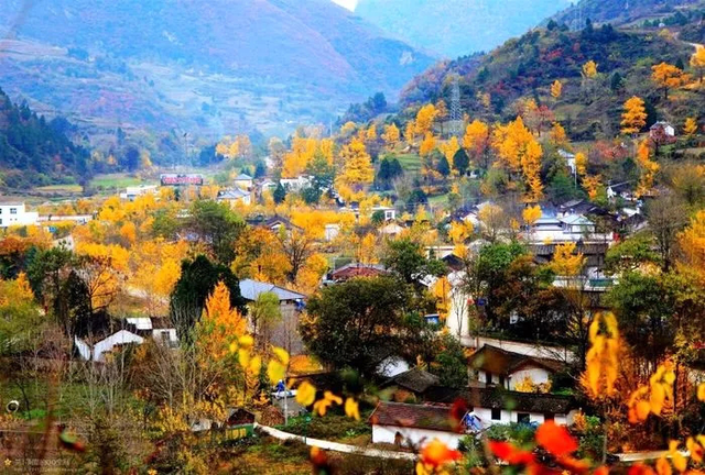 徽县属于哪个市，陕西徽县属于哪个市（《那山那水我代言》——走进徽县）