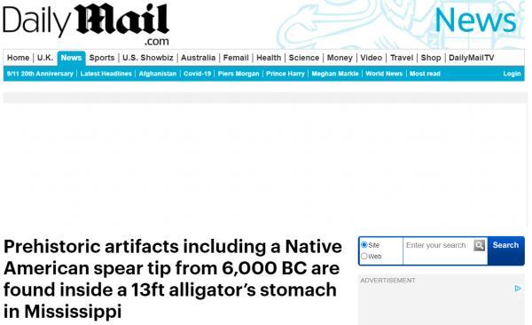 铅锤是什么形状，铅锤图片(各种各样)（美国4米左右长鳄鱼体内发现史前“文物”）