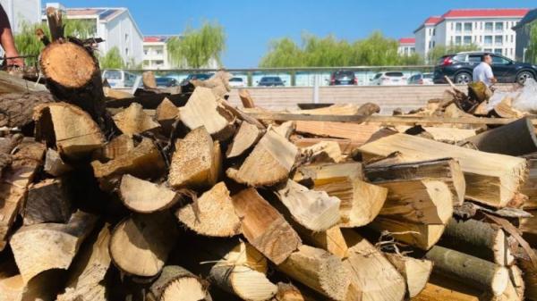 木头鱼韩语在线翻译，中韩翻译器（山东一高校支起大铁锅做全鱼宴）