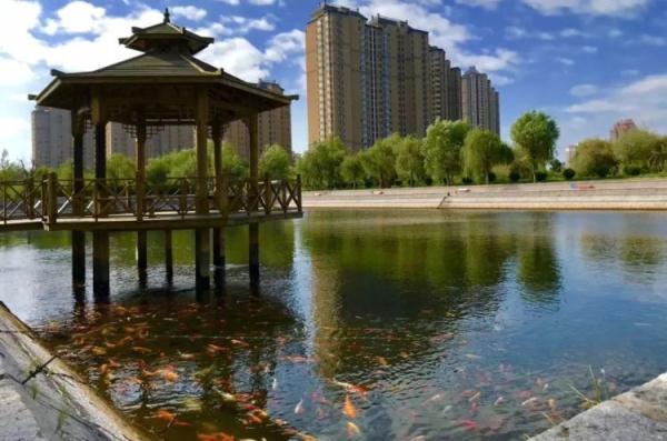 木头鱼韩语在线翻译，中韩翻译器（山东一高校支起大铁锅做全鱼宴）