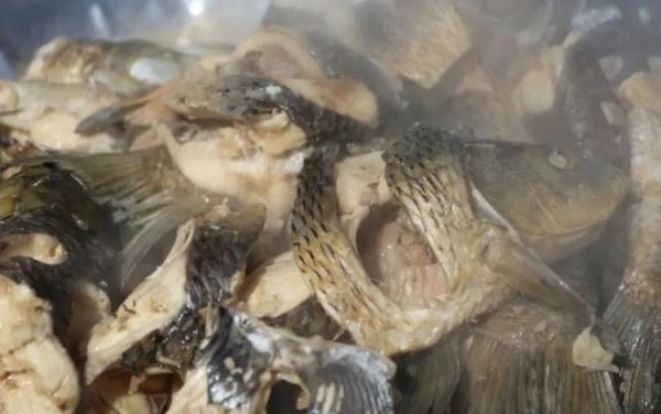 木头鱼韩语在线翻译，中韩翻译器（山东一高校支起大铁锅做全鱼宴）