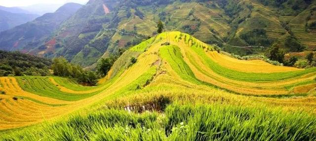 红河旅游景点大全，红河州有哪些旅游景点（中秋红河三日游）