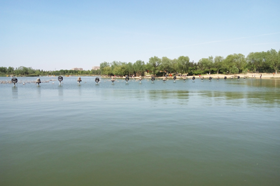 水体类型湖泊，水体类型湖泊记录表（恬静秀丽的湖泊生态系统）