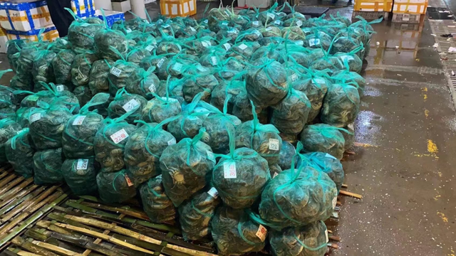 湖蟹和大闸蟹的区别，湖蟹和大闸蟹有什么区别（也不建议9月吃蟹”）