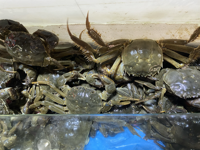 湖蟹和大闸蟹的区别，湖蟹和大闸蟹有什么区别（也不建议9月吃蟹”）