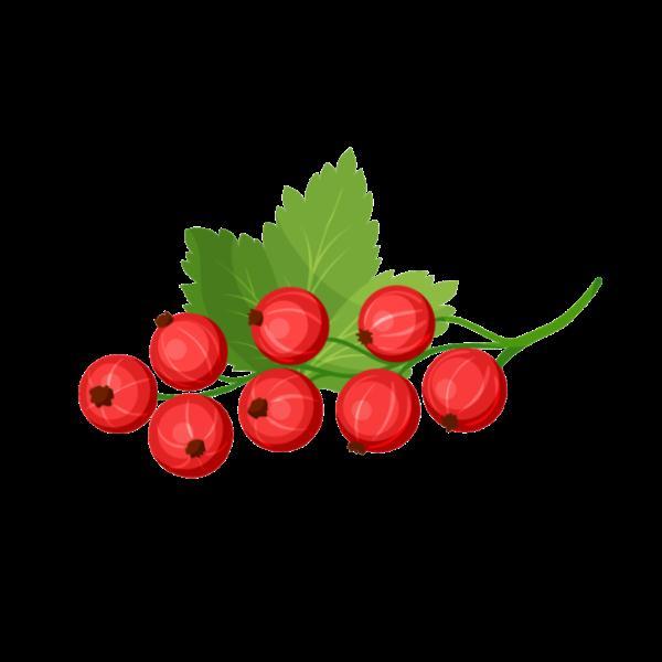 龙虾和桃子能不能在一块儿吃（糖尿病能吃的水果……大部分人都不知道）