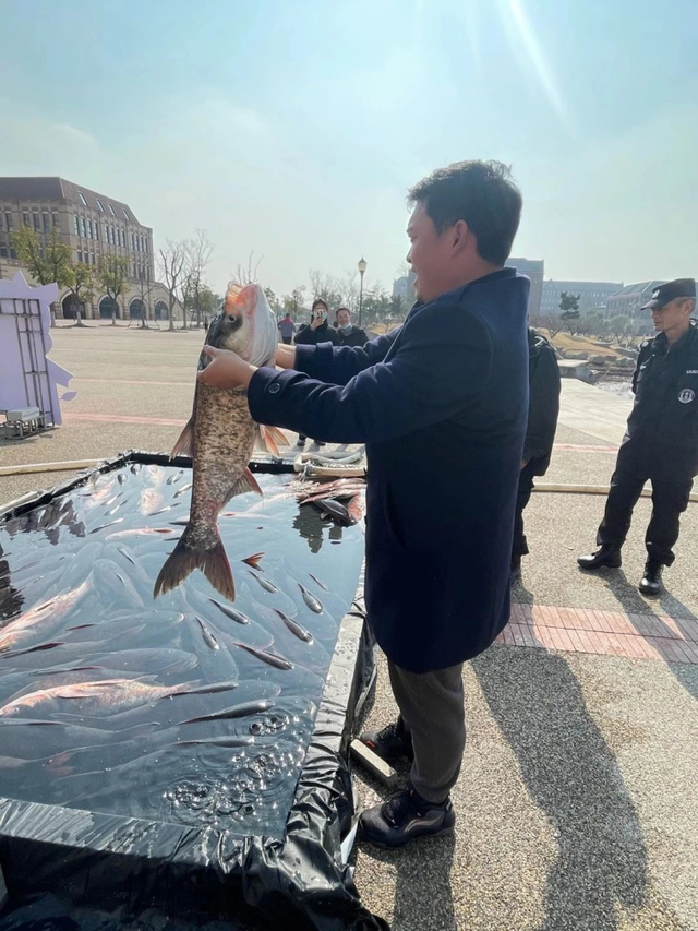 切麻切水果，各种水果切法（高校全鱼宴，连吃十天不要钱）